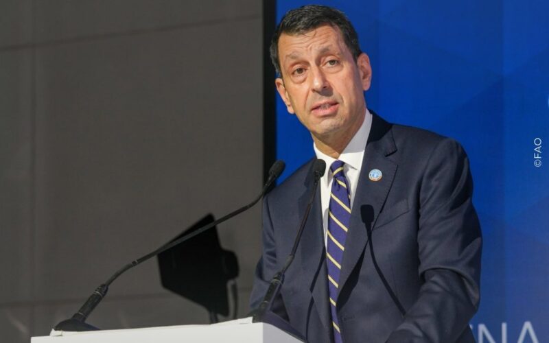 Jamaica gets approval for $50m project to enhance climate resilience of vulnerable smallholders