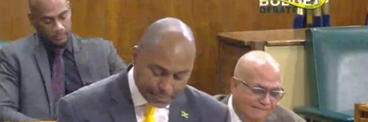 Opposition spokesman on finance Julian Robinson criticizes government’s decision to impose more taxes