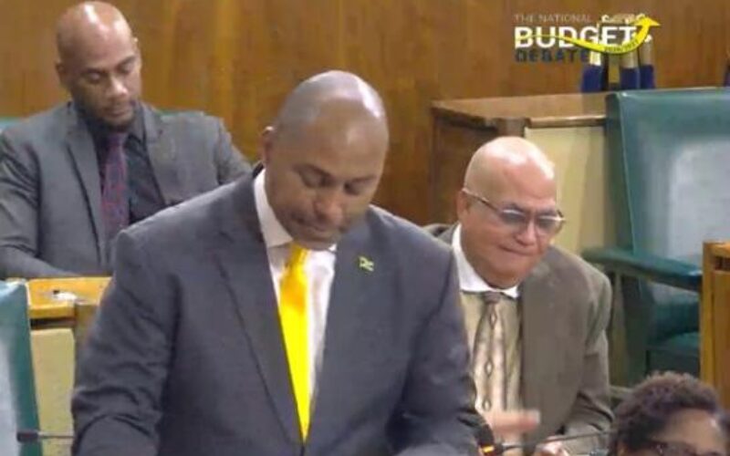 Opposition spokesman on finance Julian Robinson criticizes government’s decision to impose more taxes