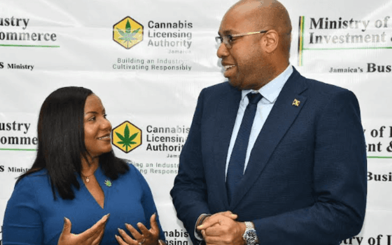 Gov’t ramping up efforts to position Jamaica as strong competitor in the global cannabis industry