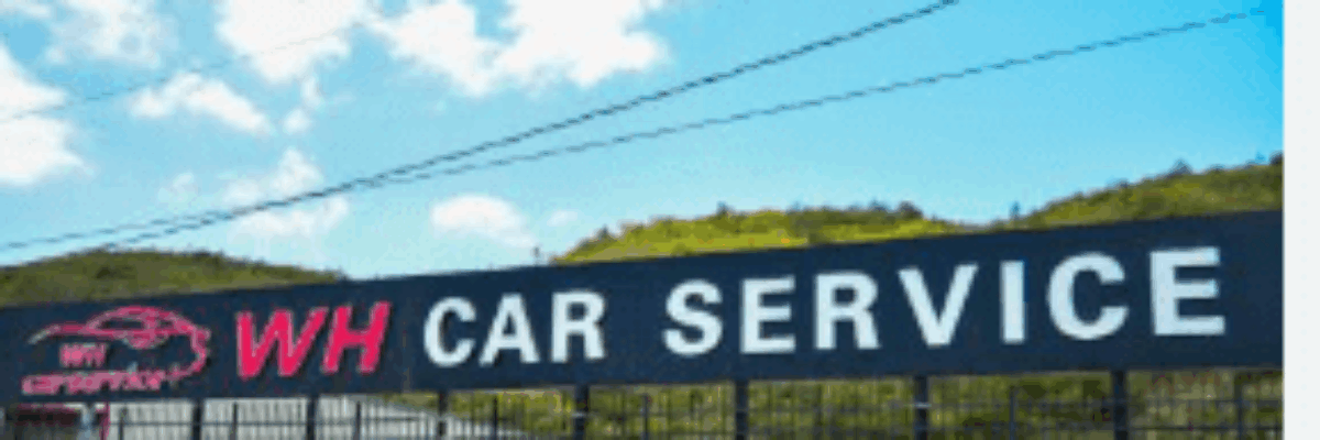 Labour Minister, Pearnel Charles Jr. says efforts continue to facilitate reopening of Chinese-operated auto shop in St. Catherine