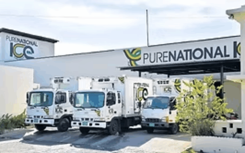 Pure National Limited to resume local ice production soon