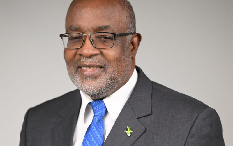 Opposition urges Police High Command to deploy community relations teams to Granville, St. James following police fatal shooting on Sunday