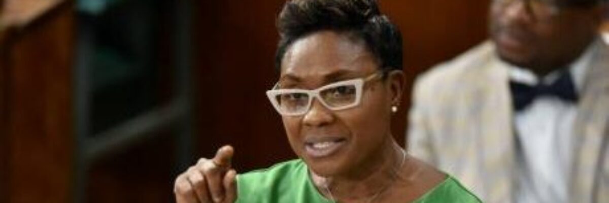 St. Andrew West Rural MP condemns chopping death of woman in Rose Hill District, St. Andrew