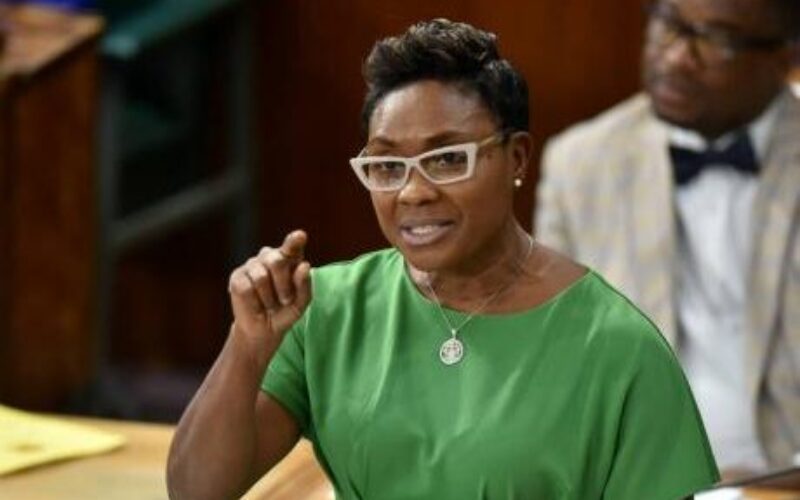 St. Andrew West Rural MP condemns chopping death of woman in Rose Hill District, St. Andrew