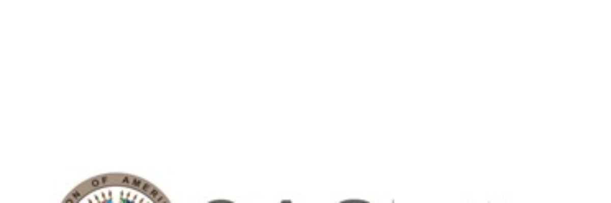 OAS calls on government and stakeholders to address voter participation concerns