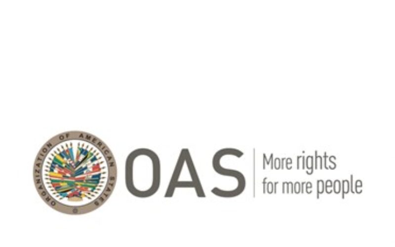OAS calls on government and stakeholders to address voter participation concerns