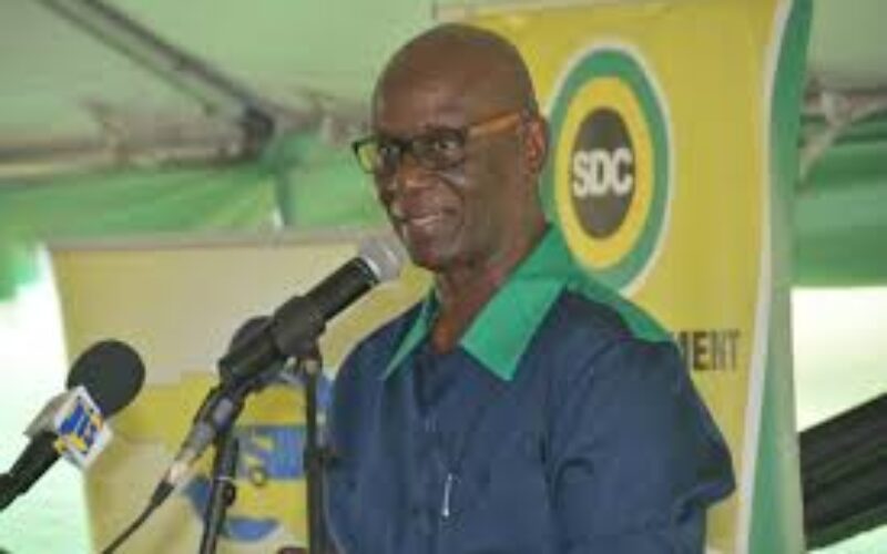 Local Government Minister Desmond Mckenzie warns against use of Parish Development Committees and community-based organizations for political purpose