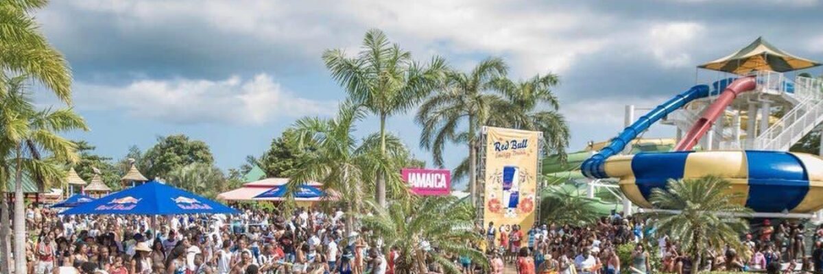 NEA President says Negril will bounce back