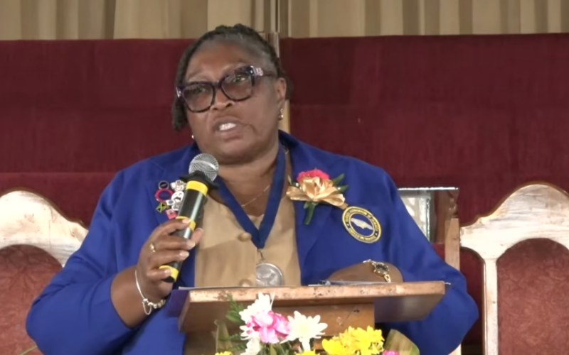 NAJ president demands better structural support for nurses