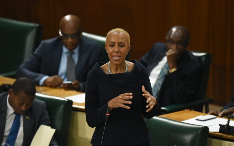 Consumers to manage their budgets “in the near term” to deal with increasing oil prices due to conflict in Middle East – Fayval Williams