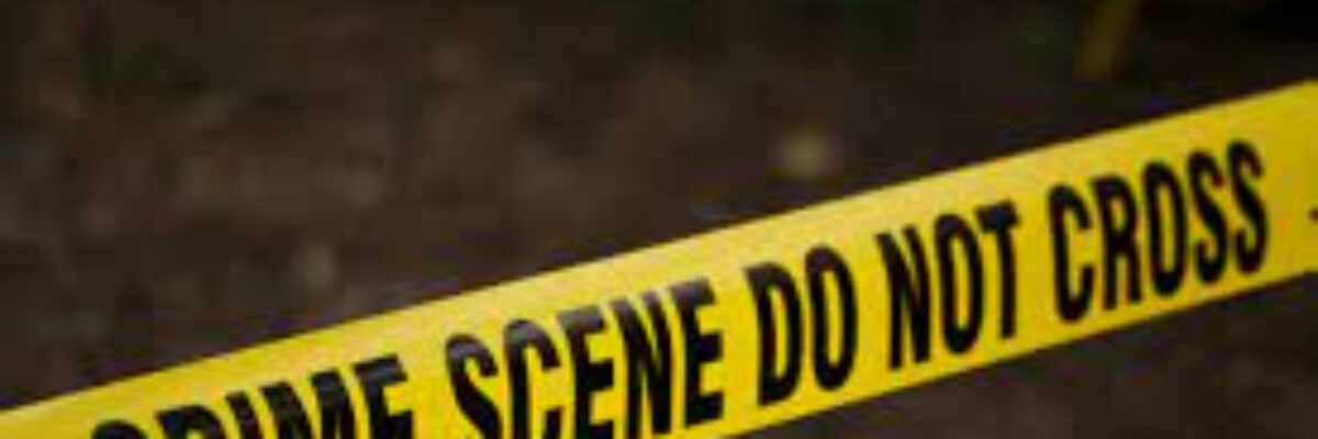 Double murder along Wildman Street in Rose Gardens, Kingston last night