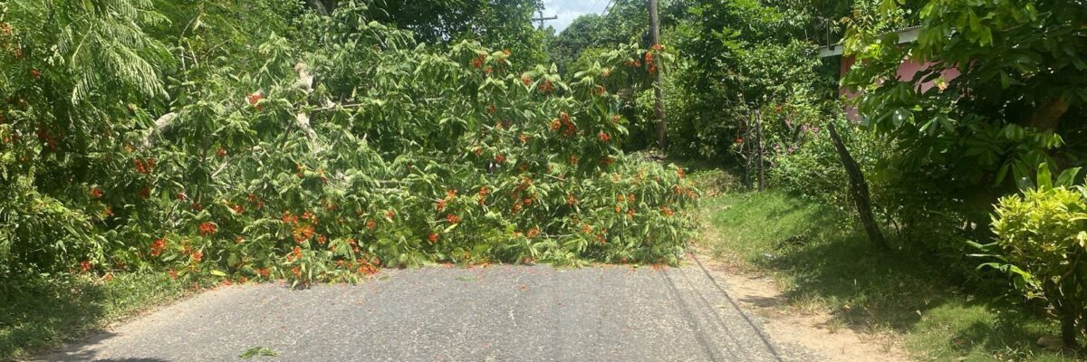 St. Elizabeth residents stage protest demanding restoration of electricity to their communities