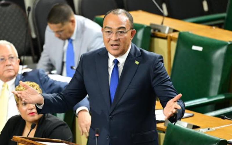 Research suggests 1 in 4 Jamaican children reportedly assigned to the wrong father – Tufton