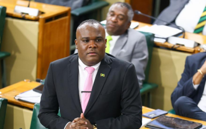 Senate continues NaRRA debate; Fitz-Henley chides civil society groups over “selective outrage”