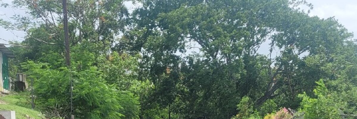 Bog Walk Gorge closed, many other roadways also impacted by heavy rains