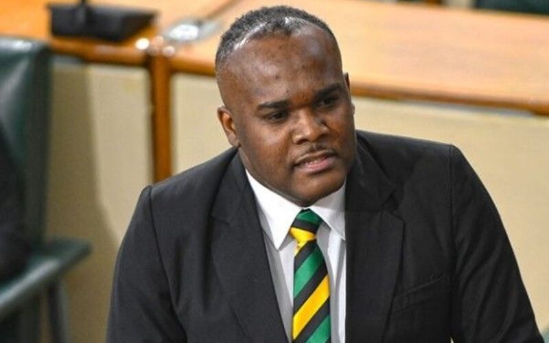 JLP says ruling in Paul Buchanan’s application for  judicial review of election results expected