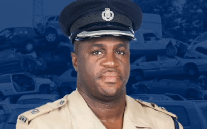 St. Catherine North police clamp down on car thieves