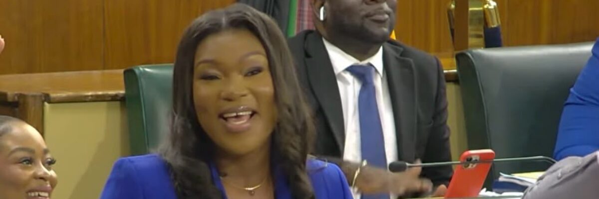 Opposition calls on Justice Minister to withdraw comments that Jamaica does not have a human rights problem