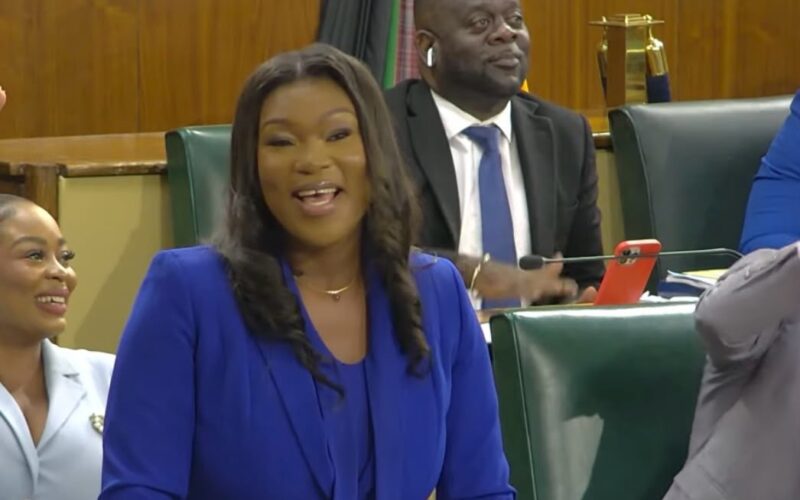 Opposition calls on Justice Minister to withdraw comments that Jamaica does not have a human rights problem