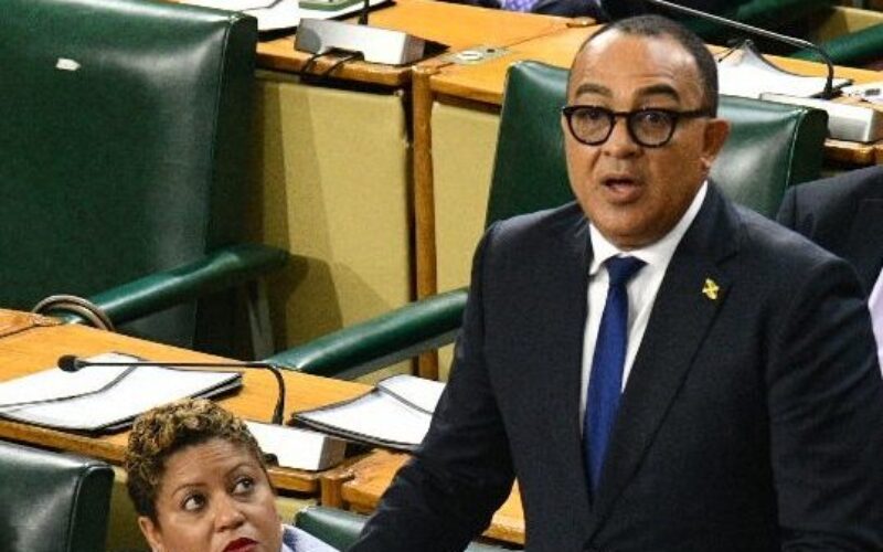 Health Ministry to develop research-based policy framework to address impact of social media on youth