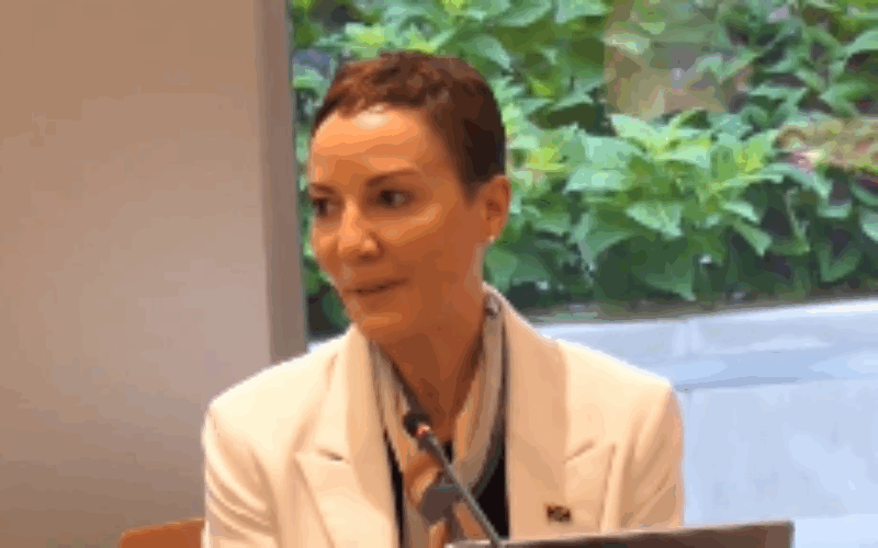 Gov’t refutes Opposition’s claims that Jamaica failed to demonstrate solidarity with Palestinians while at UN general assembly