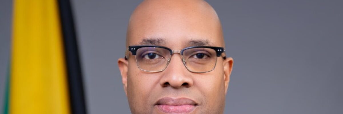 State Minister for Industry, Investment and Commerce, challenges Jamaicans abroad to claim their share of the country’s economic growth