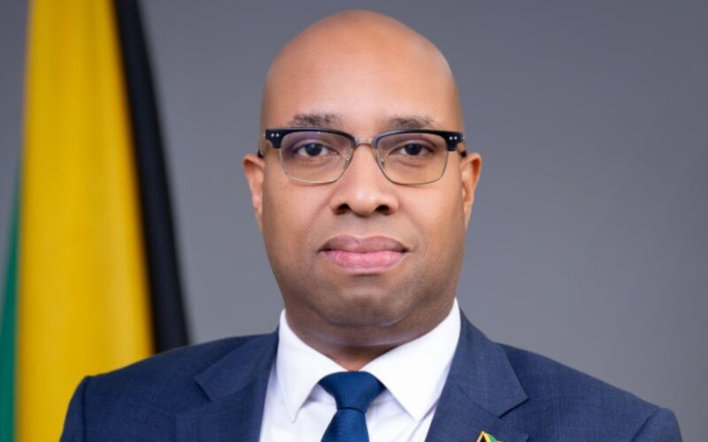 State Minister for Industry, Investment and Commerce, challenges Jamaicans abroad to claim their share of the country’s economic growth