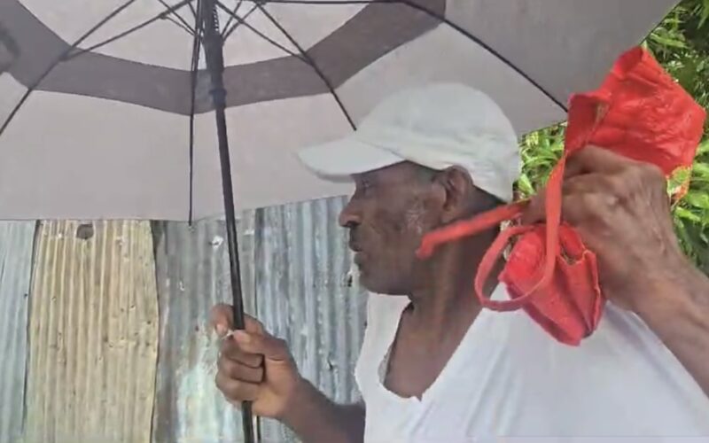 Residents of New Haven in Duhaney Park worried about crocodile encounters, during floods