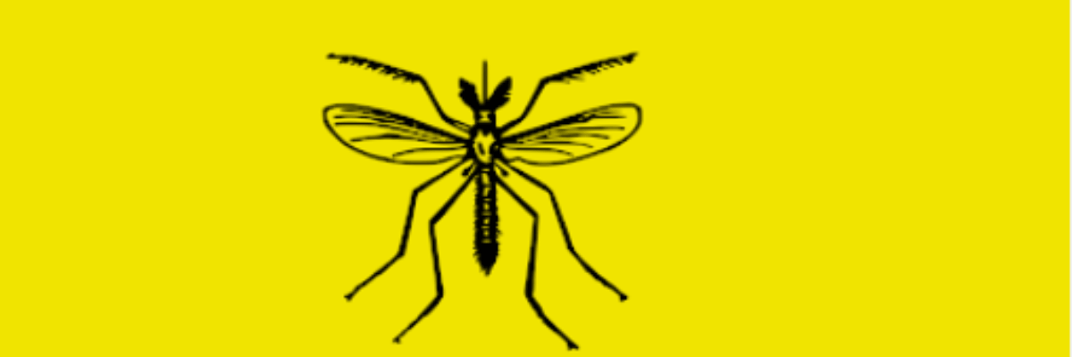 Health officials urge compliance with Jamaica’s immunization schedule amid yellow fever outbreak in neighboring countries