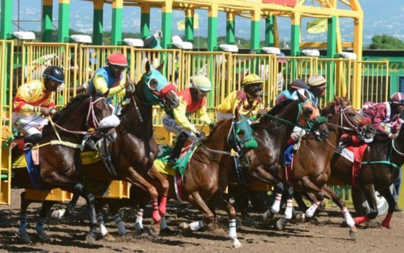 The Jamaica Racing Commission to host Trainers and owners seminar next week