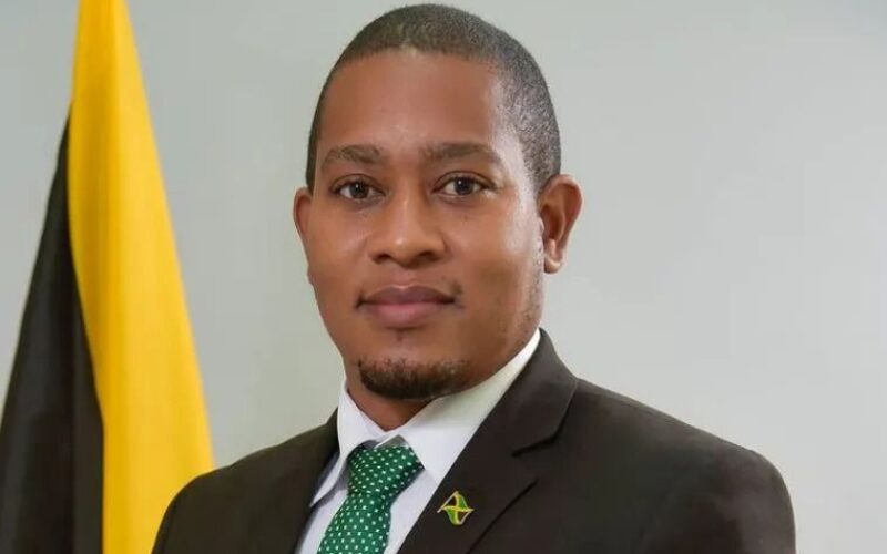 Green challenges Jamaica Institution of Engineers to design storm resistant greenhouse solution