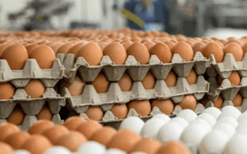 Agriculture Ministry to hold meeting next week amidst concern over reduced egg production levels
