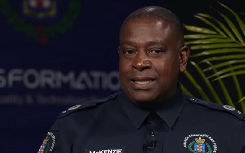 Police say safety, security and public order maintained at recent staging of Reggae Sumfest in Plantation Cove, St. Ann
