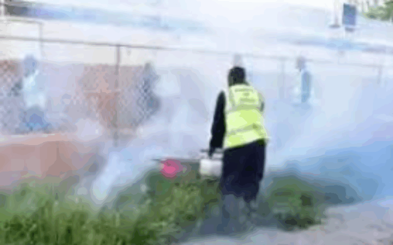 Vector control workers deployed islandwide following passage of Hurricane Melissa