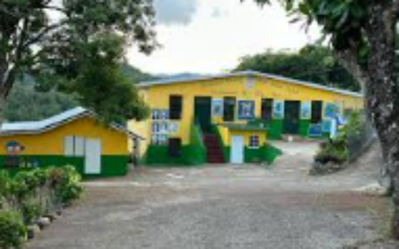 Security concerns resurface after attack on staff member at Retirement Primary School in St. Elizabeth