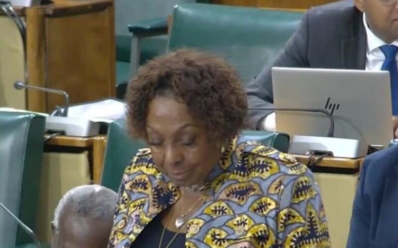 Gender Minister Olivia Grange says Sexual Harassment Tribunal fully functional and hearing cases