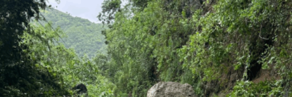 35 roads remain impassable across 12 parishes