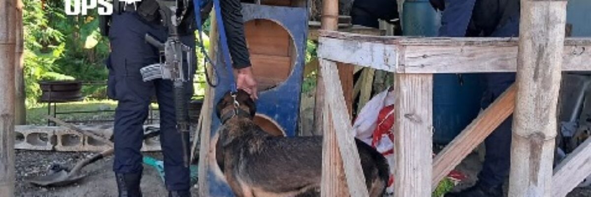 St Mary police arrest & charge 13 persons following operations