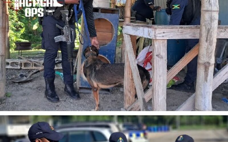 St Mary police arrest & charge 13 persons following operations