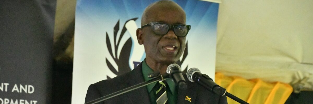 ODPEM to add provision of ice & igloos to standard hurricane response package