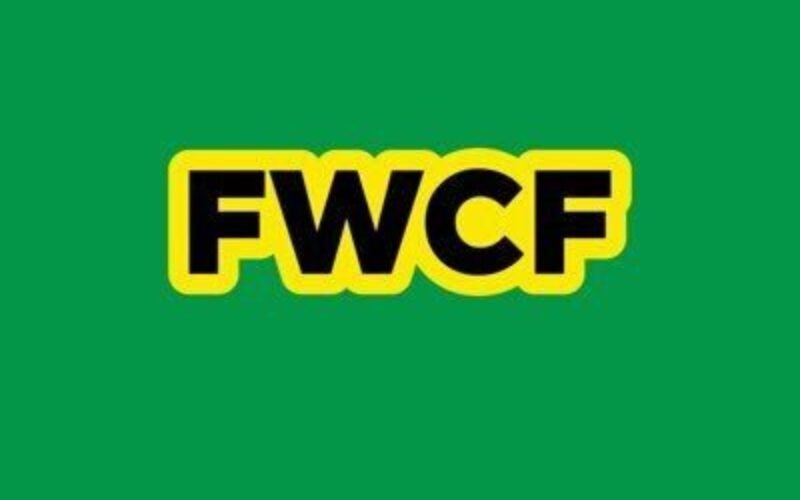 FWCF urges review of Child Care Act to better protect children from sexualized public content