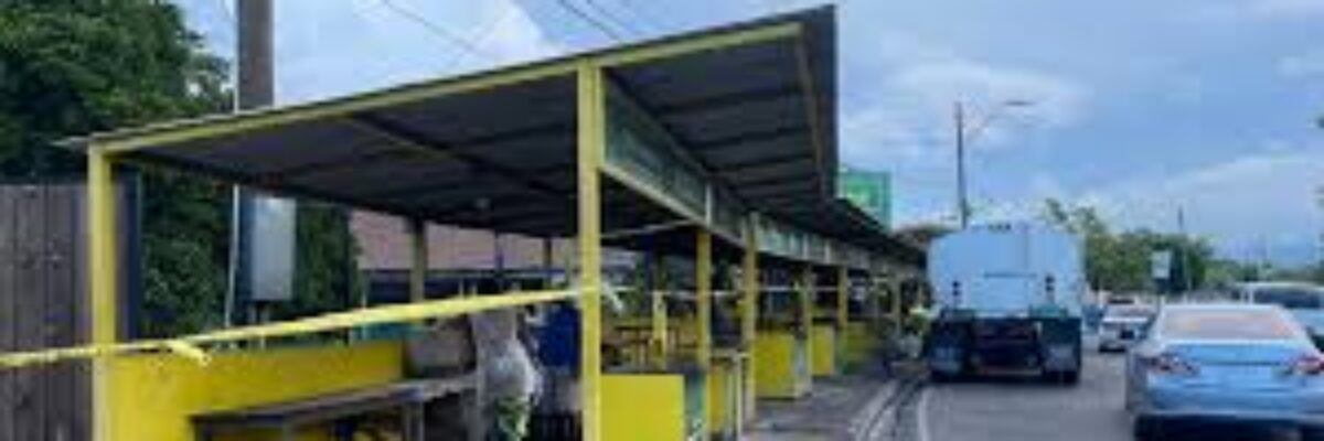 KSAMC to meet with Crab Circle vendors following reported return of vendor Alice