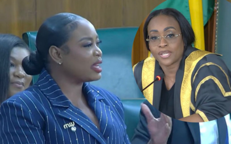 Tension in Gordon House after MP Burchell’s Patois address sparks language debate in Parliament