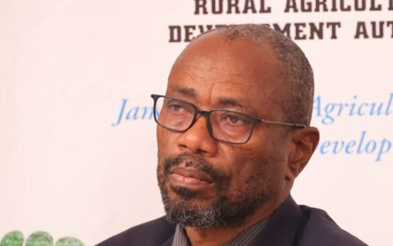 NIC says farmers in parishes badly affected by Hurricane Melissa not required to pay irrigation bill until end of January