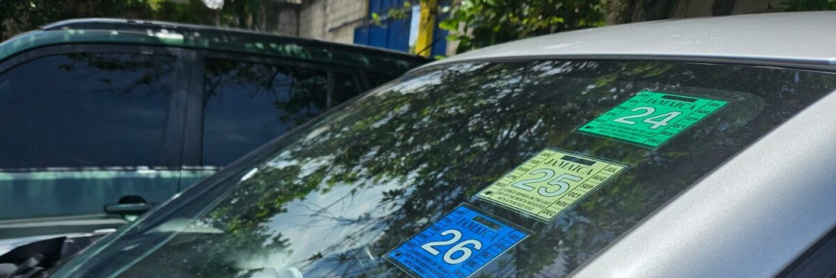 TAJ says system issue which disrupted processing of motor vehicle registration-related transactions, resolved