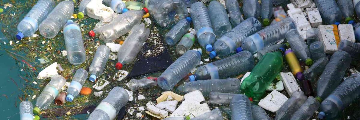 Jamaica Environment Trust calls for stronger action to address country’s persistent plastic pollution problem