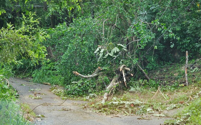 Only 10 of the over 600 roadways impacted by Hurricane Beryl remain blocked