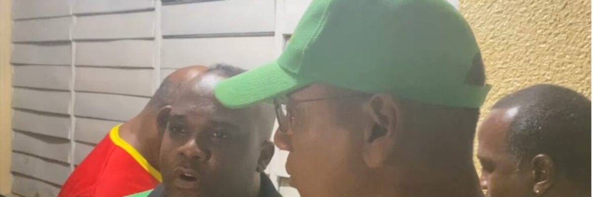 Central Kingston seat returned to JLPs Donovan Williams following EOJ official count