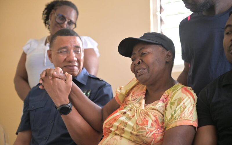 PM Holness says over 300 houses delivered or being constructed under gov’t’s NSHP